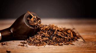 Hva er tobakk? Fakta om tobakk